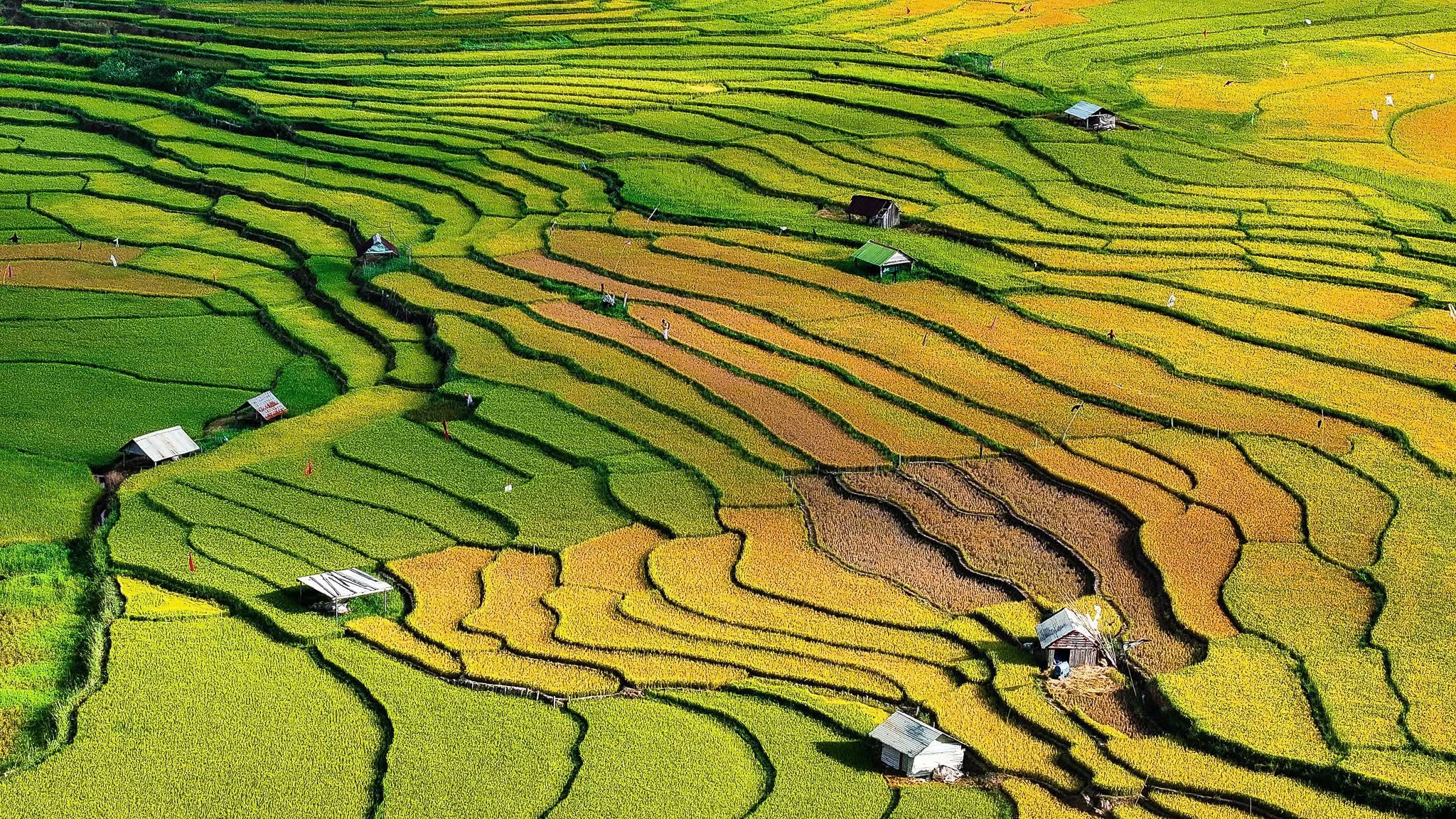 Khung cảnh Măng Đen