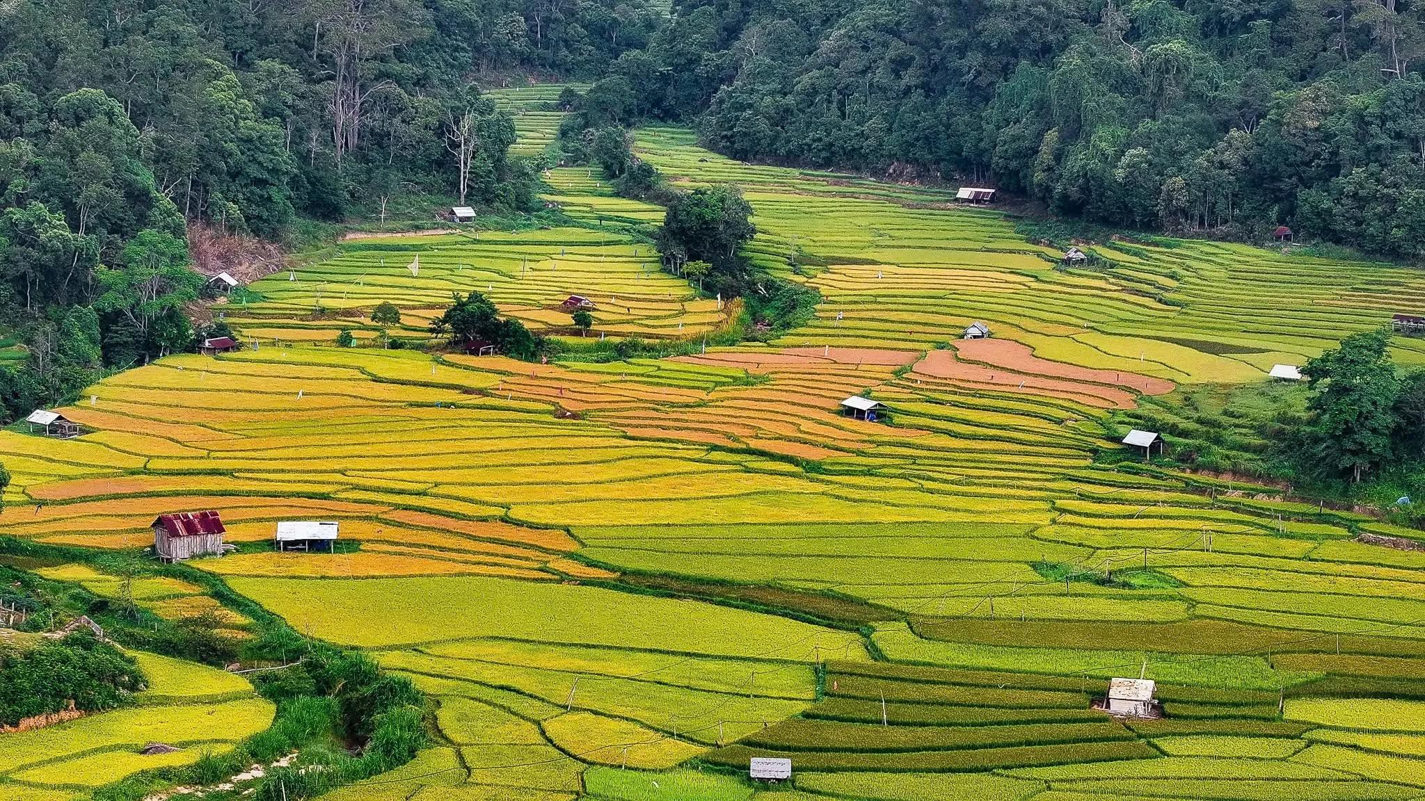 Thung lũng trong sương